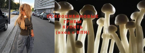 хмурый Гусиноозёрск