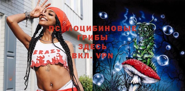спиды Гусь-Хрустальный