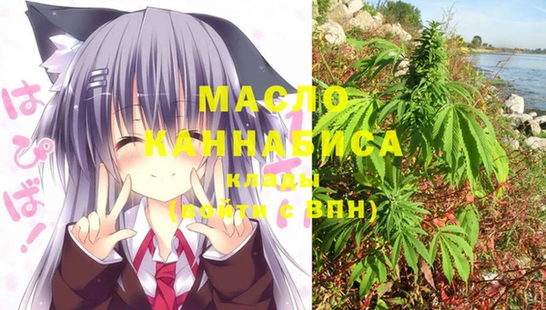 альфа пвп Гусев