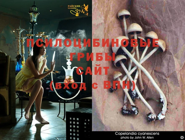 спиды Гусь-Хрустальный