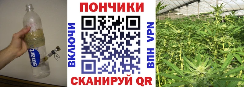 Бошки марихуана VHQ Краснотурьинск